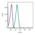 NaV1.5 (SCN5A) (extracellular) Antibody in Flow Cytometry (Flow)