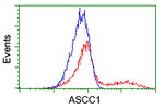 ASCC1 Antibody in Flow Cytometry (Flow)