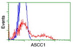ASCC1 Antibody in Flow Cytometry (Flow)