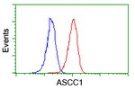 ASCC1 Antibody in Flow Cytometry (Flow)