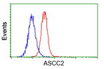 ASCC2 Antibody in Flow Cytometry (Flow)
