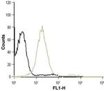 S1PR3 (EDG3) (extracellular) Polyclonal Antibody, Atto™ 488
