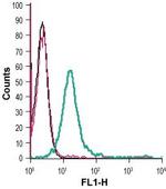 S1PR3 (EDG3) (extracellular) Polyclonal Antibody, FITC