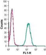 GPR91 (SUCNR1) (extracellular) Antibody in Flow Cytometry (Flow)