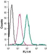 GPR91 (SUCNR1) (extracellular) Antibody in Flow Cytometry (Flow)