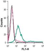 GPR91 (SUCNR1) (extracellular) Antibody in Flow Cytometry (Flow)