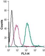 GPR91 (SUCNR1) (extracellular) Antibody in Flow Cytometry (Flow)