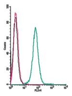 GPR91 (SUCNR1) (extracellular) Antibody in Flow Cytometry (Flow)