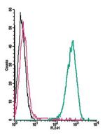 GPR91 (SUCNR1) (extracellular) Antibody in Flow Cytometry (Flow)