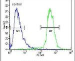 ATP13A3 Antibody in Flow Cytometry (Flow)