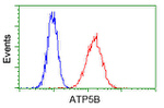 ATP5B Antibody in Flow Cytometry (Flow)