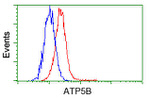 ATP5B Antibody in Flow Cytometry (Flow)