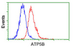 ATP5B Antibody in Flow Cytometry (Flow)