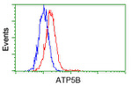 ATP5B Antibody in Flow Cytometry (Flow)