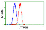 ATP5B Antibody in Flow Cytometry (Flow)