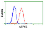 ATP5B Antibody in Flow Cytometry (Flow)