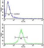 ATP Synthase gamma Antibody in Flow Cytometry (Flow)
