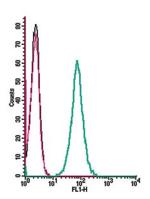 Neurokinin 1 Receptor (NK1R) (extracellular) Antibody in Flow Cytometry (Flow)