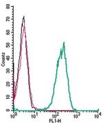 TSH Receptor (TSHR) (extracellular) Antibody in Flow Cytometry (Flow)