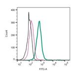 AXL (extracellular) Antibody in Flow Cytometry (Flow)