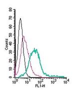 MERTK (extracellular) Antibody in Flow Cytometry (Flow)