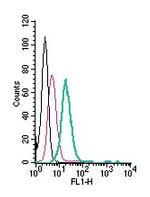MERTK (extracellular) Antibody in Flow Cytometry (Flow)