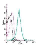 VPAC2 (VIPR2) (extracellular) Antibody in Flow Cytometry (Flow)