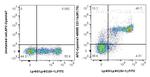 CD11b Antibody in Flow Cytometry (Flow)