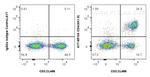 CD4 Antibody in Flow Cytometry (Flow)