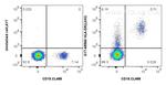 HLA-DR Antibody in Flow Cytometry (Flow)
