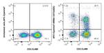 CD73 Antibody in Flow Cytometry (Flow)
