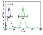 Annexin A1 Antibody in Flow Cytometry (Flow)