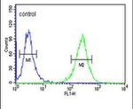 CD57 Antibody in Flow Cytometry (Flow)