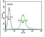 B3GNT4 Antibody in Flow Cytometry (Flow)