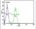 B4GALT6 Antibody in Flow Cytometry (Flow)