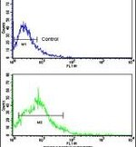 BACE2 Antibody in Flow Cytometry (Flow)