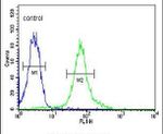 BACH2 Antibody in Flow Cytometry (Flow)