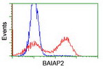 BAIAP2 Antibody in Flow Cytometry (Flow)