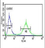 BBS10 Antibody in Flow Cytometry (Flow)