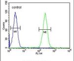 BCORL1 Antibody in Flow Cytometry (Flow)