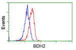 BDH2 Antibody in Flow Cytometry (Flow)