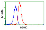 BDH2 Antibody in Flow Cytometry (Flow)