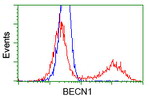 BECN1 Antibody in Flow Cytometry (Flow)
