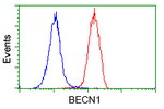 BECN1 Antibody in Flow Cytometry (Flow)