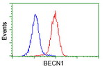 BECN1 Antibody in Flow Cytometry (Flow)