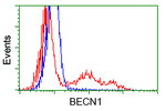 BECN1 Antibody in Flow Cytometry (Flow)