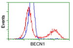BECN1 Antibody in Flow Cytometry (Flow)