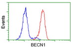 BECN1 Antibody in Flow Cytometry (Flow)