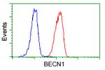 BECN1 Antibody in Flow Cytometry (Flow)