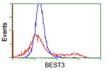 BEST3 Antibody in Flow Cytometry (Flow)